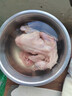 珍府客 乳鴿子(含內(nèi)臟) 散養(yǎng)純糧食喂養(yǎng)肉鴿老鴿 1只足齡老鴿(單只400g) 曬單實拍圖