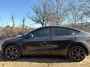 適用特斯拉modely19寸全包米斯特輪轂蓋 汽車輪轂裝飾配件保護蓋 老款MY19寸 米斯特銀黑4個+白標 曬單實拍圖