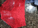莫代爾蕾絲內(nèi)褲女士性感中腰無痕短褲新款女生棉襠部大碼欲底褲 紅色+煙灰色+黑色 XL 135-160斤 曬單實拍圖