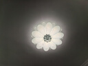 萊琪吸頂燈溫馨奶油風(fēng)花朵臥室主燈2025新款全光譜護(hù)眼燈具廣東中山 CX822A款55CM+55W 無極遙控+支持小愛同學(xué)控制 曬單實(shí)拍圖