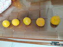 守望鄉(xiāng)村 東北姑娘果精選新鮮菇娘果谷鳥水果燈籠果菇蔦黃金豆新鮮水果 精選5斤（帶果衣） 曬單實(shí)拍圖