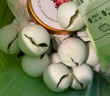 三全茶趣湯圓300g龍井茶湯圓白桃烏龍生椰拿鐵元宵網紅小吃速凍湯圓 茉莉龍井+生椰拿鐵+白桃烏龍 無規(guī)格 曬單實拍圖