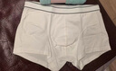 DJVT日本男士純棉內褲男生白色淺色四角短褲純色透氣舒適平角全棉質(zhì) 【白色+白色+白色】 3條 XL 【115-135斤】 曬單實(shí)拍圖