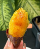 玫梔赤炎蜜薯王紅薯糯金莎禮盒山芋甜糖心薯糖心流油蜜紅心薯山芋蜜薯 糯金莎5斤果禮裝中大果順豐 超甜蜜薯精品果 曬單實拍圖