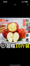 甘肅酒泉紅元帥蘋(píng)果新鮮水果粉面沙甜粉蘋(píng)果刮泥果粉糯當季可選順 75mm（含）-80mm(不含) 精選中果 3斤 曬單實(shí)拍圖