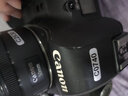 Canon佳能5D4 6D2 6D 5D3 5D2二手全畫幅單反相機(jī)專業(yè)學(xué)生入門級(jí)數(shù)碼相機(jī)/鏡頭套機(jī) 佳能5D2【EOS 5D Mark II】 機(jī)身+佳能50mm f/1.8STM小痰盂鏡頭 95成 曬單實(shí)拍圖