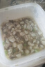 盛源來芥末章魚即食八爪魚小章魚日料店海鮮料理日式軟足類鮮蛤蛤蜊肉 芥末章魚 500g(凈重) 曬單實(shí)拍圖