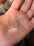 中國黃金（CHINA GOLD）花絲蝴蝶黃金耳釘女足金交織耳環(huán)耳飾七夕情人節(jié)禮物送女友老婆 足金鏤空花絲蝴蝶耳釘 曬單實拍圖