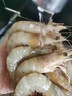潮海堂活凍海捕大明蝦南海捕撈對(duì)蝦海白蝦黃蝦國(guó)產(chǎn)水產(chǎn)蝦類生鮮海鮮水產(chǎn) 大明蝦 400g(凈重)  一盒 大號(hào) 13-15條/盒 凈重400g 曬單實(shí)拍圖