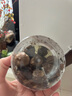 食芳溢堡黑蒜獨頭120天發(fā)酵獨頭黑蒜山東特產(chǎn)即食黑蒜頭可煲湯 120天發(fā) 100克罐裝 曬單實(shí)拍圖