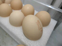 蛋益滿(mǎn)滿(mǎn)可生食富硒無(wú)菌無(wú)抗無(wú)腥味營(yíng)養雞蛋 30枚新鮮土雞蛋早餐溏心蛋 生食富硒雞蛋 30枚*50g  禮盒裝 曬單實(shí)拍圖