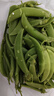 新鮮甜豆500g 帶殼炒菜食用甜脆鮮豌豆莢新鮮蔬菜 多省5件包郵 500 曬單實(shí)拍圖
