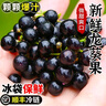 鮮木【順豐速發(fā)】新鮮龍葵果250g野生東北黑天天黑悠悠黑呦呦黑星星龍 曬單實(shí)拍圖