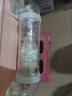 麥?？ㄩL(zhǎng)毛金絲熊活體波利寵物倉(cāng)鼠活物小倉(cāng)鼠活體金絲鼠一公一母侏儒鼠 金絲熊+虎紋熊【發(fā)京東快遞】 曬單實(shí)拍圖