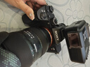 索尼（sony） A7M2 A7M4 A7R2 A7R3 a7m3 4K視頻直播二手微單相機 索尼A7R3單機 99新 曬單實(shí)拍圖