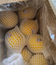 優(yōu)味集【JD速達(dá)】高端品種進(jìn)口黃檸檬新鮮薄皮香水鮮檸檬果泡水佳果 2500g凈重裝（40%選擇-性價(jià)比） 【A+級】商超精品單果110-140g 曬單實(shí)拍圖