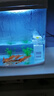 金利佳魚(yú)缸過(guò)濾器免換水內置三合一潛水泵循環(huán)抽水家用養魚(yú)凈水增氧設備 白色8W多功能（適用40cm內） 曬單實(shí)拍圖