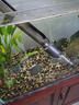 CRAZY PLANT魚(yú)缸換水神器鋰電自動(dòng)電動(dòng)洗沙器吸便器清洗清潔吸魚(yú)屎神器抽水泵 【鋰電】800L/H可調節水流量 曬單實(shí)拍圖