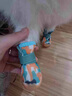 阿莫爾狗狗夏季外出鞋子小型犬防臟防掉腳套寵物泰迪比熊博美防水鞋套 迷彩綠 XL 建議17斤內(nèi)-具體參考尺碼 曬單實拍圖