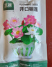 北蔬 水培碗蓮花種子苗植物荷花種籽已開口水培花卉 開口碗蓮種子40粒 曬單實拍圖