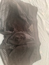Calvin Klein內衣男士性感鏤空ck黑色蕾絲低腰防夾臀四角褲平角內褲男NB3858 UB1-太空黑 1條 XL 曬單實拍圖
