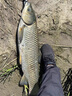 AFW進(jìn)口高碳達瓦千岡魚(yú)竿手竿超輕超硬28調19調臺釣竿鯽鯉魚(yú)竿大物竿 4.5m 4H28調+原裝竿稍+禮包 曬單實(shí)拍圖