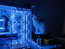 七彩虹RTX 5060 4060 Ti 戰(zhàn)斧Ultra  Advanced OC 8G臺式組裝電腦直播電競游戲顯卡 贈品勿拍：鋁合金顯卡支架 曬單實拍圖