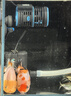 徹朗超靜音水泵魚缸潛水泵循環(huán)泵底吸泵濾水海水缸小型家用過濾抽水泵 8w【流量可調(diào)/40cm以內(nèi)魚缸】 曬單實拍圖