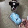 阿莫爾狗狗玩具耐咬拖鞋磨牙解悶自嗨神器邊牧柯基消耗體力玩具寵物用品 藍色【橡膠拖鞋】 曬單實拍圖