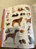 DK兒童圖解英語詞典 英文原版 DK Children's Illustrated Dictionary 小學(xué)生英語5000詞匯 英語工具書 搭DK1000個英語常用詞詞典 DK兒童圖解詞典 曬單實(shí)拍圖