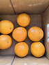 褚橙2025正品褚橙10斤精品禮盒裝當季勵志橙冰糖橙子云南哀牢山 珍品果XXL褚橙 5KG 曬單實(shí)拍圖