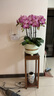 陶夢(mèng)居陽(yáng)臺花架實(shí)木置物架花臺室內中式花架子客廳落地式花盆架底座托架 曬單實(shí)拍圖
