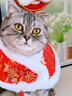 曇蓓漫貓咪披風(fēng)冬季狗狗新年披肩寵物圍巾英短加絨衣服保暖泰迪毛絨圍脖 【新年推薦】紅色錦緞小披肩 S【脖圍25cm內】【體重7斤內】 曬單實(shí)拍圖