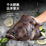 七冰東鰈魚(yú)頭 深海碟魚(yú)頭鴉片魚(yú)頭新鮮分割超大號魚(yú)尾燒烤海鮮水產(chǎn)年貨 鰈魚(yú)頭 2.5-3斤（1只） 曬單實(shí)拍圖