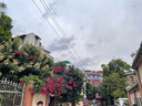 babycare嬰兒毛毯蓋毯幼兒園寶寶雙層抑菌絨毯午睡四季小狗高高110*140cm 曬單實拍圖