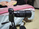 尼康（Nikon）尼克爾Z卡口微單鏡頭 Z5 Z7 Z6II Z7II Z8 Z9 Z系列 Z 105mm f/2.8 VR S微距鏡頭 曬單實拍圖