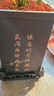 華香園蘭花 龍字 春蘭老八種之一 濃香型不帶花苞室內外辦公室內綠植 龍字5苗帶盆(棕方型)帶花苞 曬單實(shí)拍圖