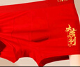雅鹿【4條裝】本命年男內褲純棉抗菌襠大紅結婚喜慶短褲衩男生平角褲 本命年B組6691 4條 3XL 曬單實(shí)拍圖