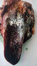 豬福儂新鮮現(xiàn)殺 無抗 豬舌頭600g 2-3個共1.2斤 崇明島源頭直發(fā) 曬單實拍圖