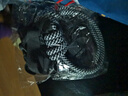 熊游客高圓圓同款ball chain日系萬里馬環(huán)保袋購物袋大容量學(xué)生通勤女包 藍色刺繡馬 中號 （可手提斜跨） 曬單實拍圖