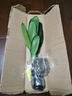 種花迷四季君子蘭盆栽君子蘭花小苗花卉植物室內(nèi)易活綠植水培好養(yǎng)不含盆 【君子蘭】特級(jí)10-12片葉 曬單實(shí)拍圖
