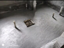 雨虹防水回填王 輕質(zhì)回填寶 東方雨虹衛(wèi)生間發(fā)泡水泥 地面找平填充材料 12kg輕質(zhì)回填王 曬單實(shí)拍圖