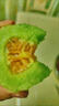 竹域山東頭茬羊角蜜 新鮮當季水果香酥脆甜香瓜水果 新鮮羊角蜜3斤裝 曬單實(shí)拍圖