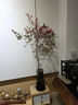 水培植物南天竹盆栽水養(yǎng)室內(nèi)富貴竹綠植吊鐘馬醉木好養(yǎng)花卉盆景 40-50cm+50-60cm兩株單發(fā)植物 曬單實拍圖