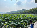 洮兒河（TAOERHE）白酒國潮G10 東北糧食酒濃香型 吉林名酒 42度 500mL 6瓶 整箱裝 曬單實(shí)拍圖