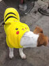 阿莫爾貓咪衣服秋冬裝保暖小型犬加厚四腳衣泰迪比熊寵物服飾狗狗衣服 皮卡丘(變身裝) M(建議5-8斤具體參考胸圍背長(cháng)) 曬單實(shí)拍圖