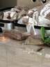 覓橘紐扣款光腿神器可拆卸替換版秋冬裸感超自然加絨假透肉打底襪C 可拆卸紐扣式設計 連腳-自然膚 1條 均碼 薄絨(適合10-20°C) 曬單實(shí)拍圖