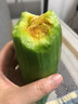 現(xiàn)摘山東羊角蜜甜瓜水果新鮮應(yīng)當(dāng)季整箱甜瓜博洋羊角脆蜜瓜 帶箱3斤裝 曬單實(shí)拍圖