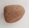 果齋園新鮮無汁椰子皇 單果約150-200g 椰子雞煲湯燉湯食材干吃榨汁椰子 3個(gè)裝（發(fā)順豐） 曬單實(shí)拍圖