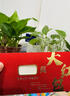 加仕高結(jié)婚紅包婚慶紅包袋改口費(fèi)見面禮隨份子紅包封通用利是封 曬單實(shí)拍圖